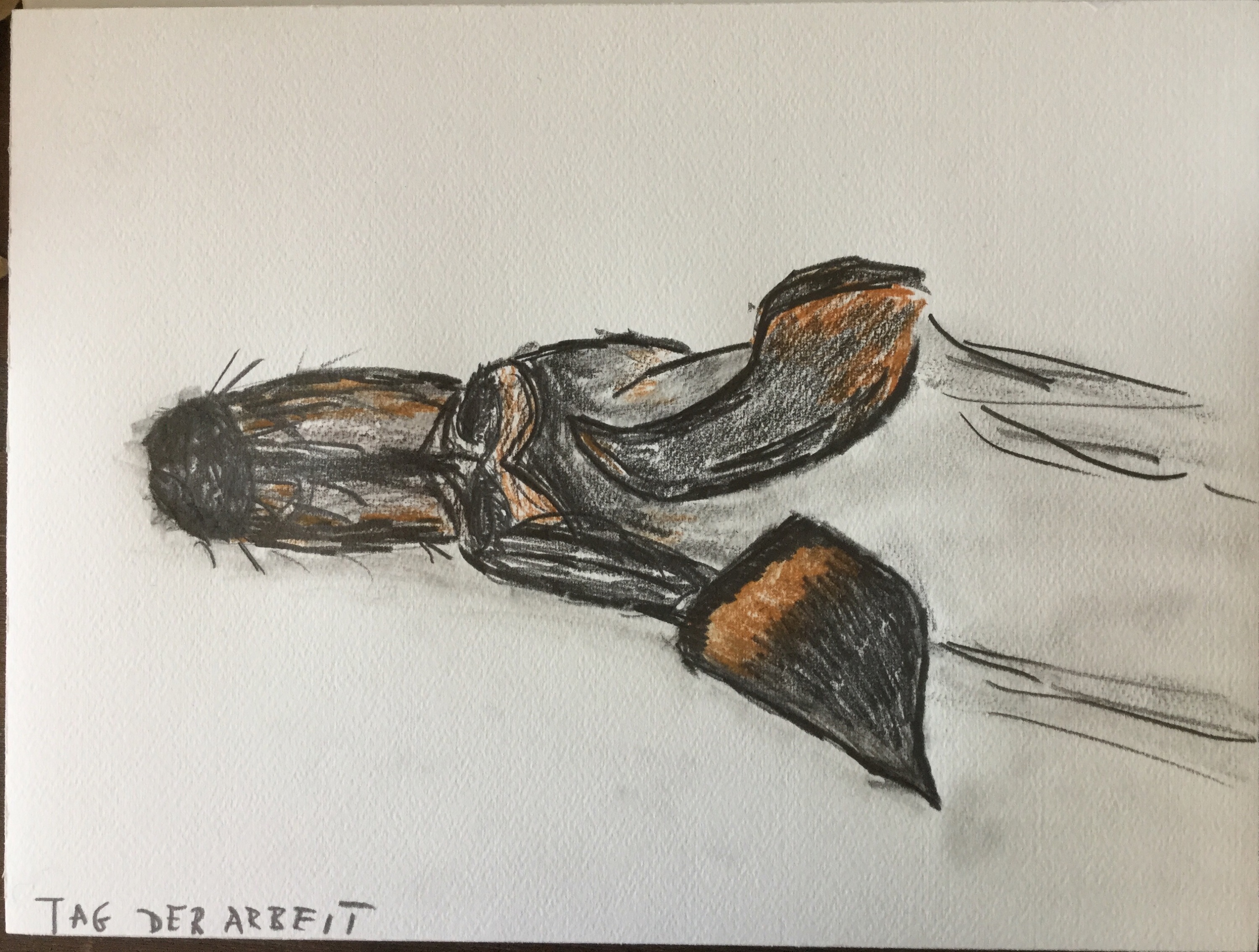 image_547136867637517