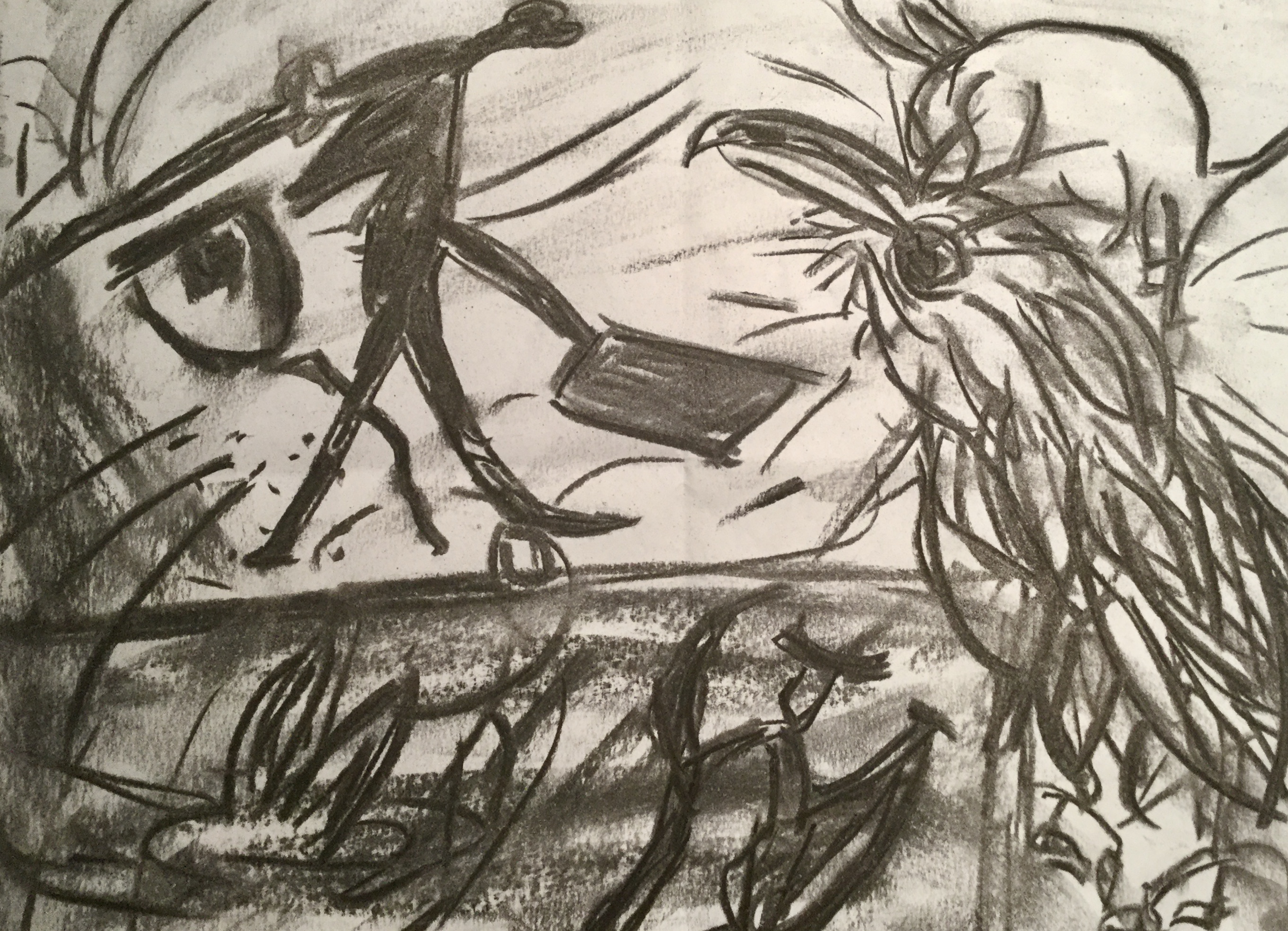 image_fb70d953-bc9e-4bf9-889a-10defc5415e1.img_0842